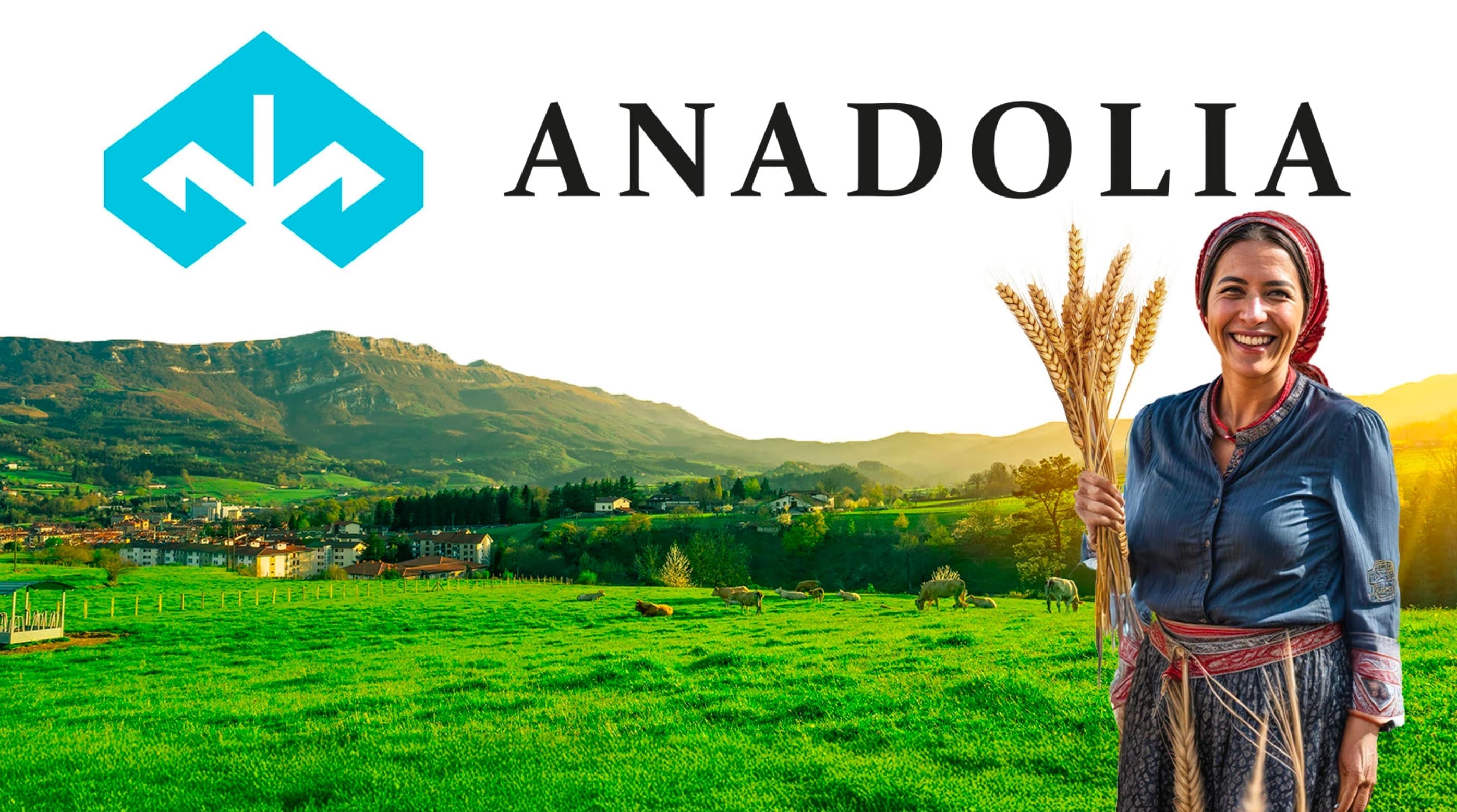 Anadolia projesi